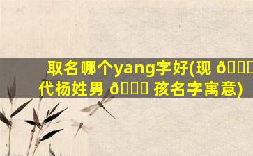 取名哪个yang字好(现 🕊 代杨姓男 🐅 孩名字寓意)
